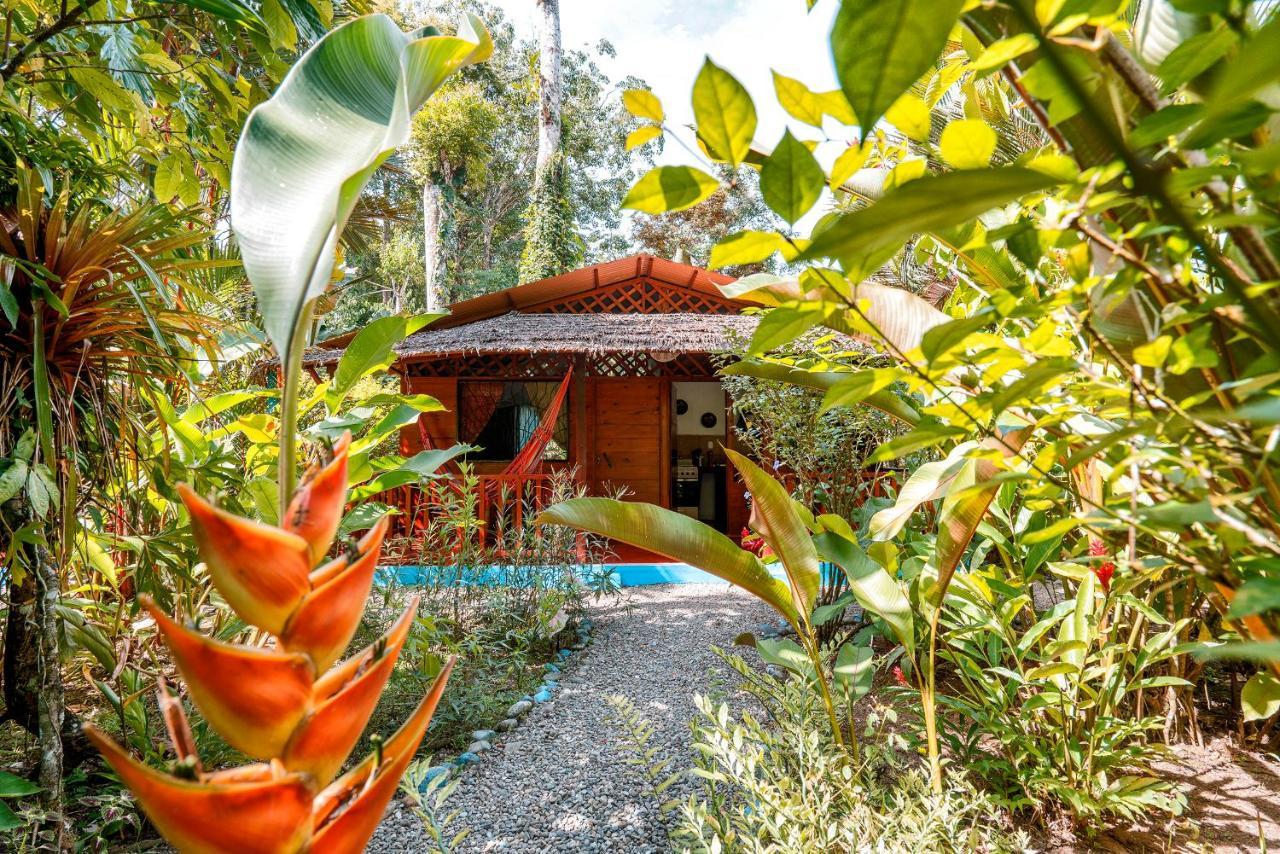 Casitas Las Flores Puerto Viejo de Talamanca Buitenkant foto