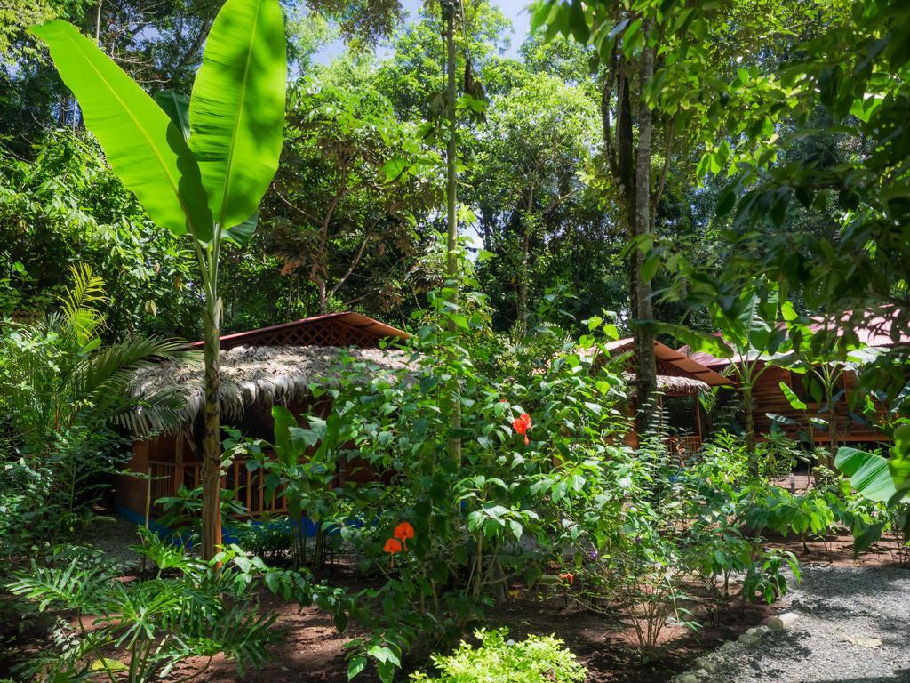 Casitas Las Flores Puerto Viejo de Talamanca Buitenkant foto
