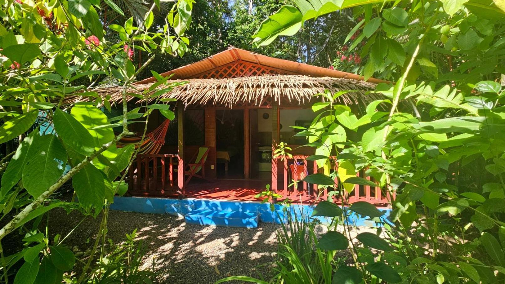 Casitas Las Flores Puerto Viejo de Talamanca Buitenkant foto