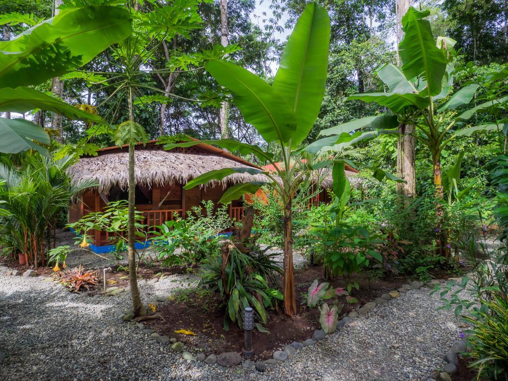 Casitas Las Flores Puerto Viejo de Talamanca Kamer foto