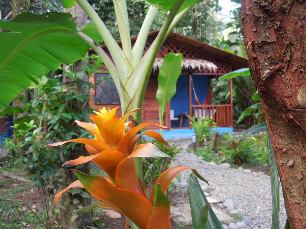 Casitas Las Flores Puerto Viejo de Talamanca Buitenkant foto