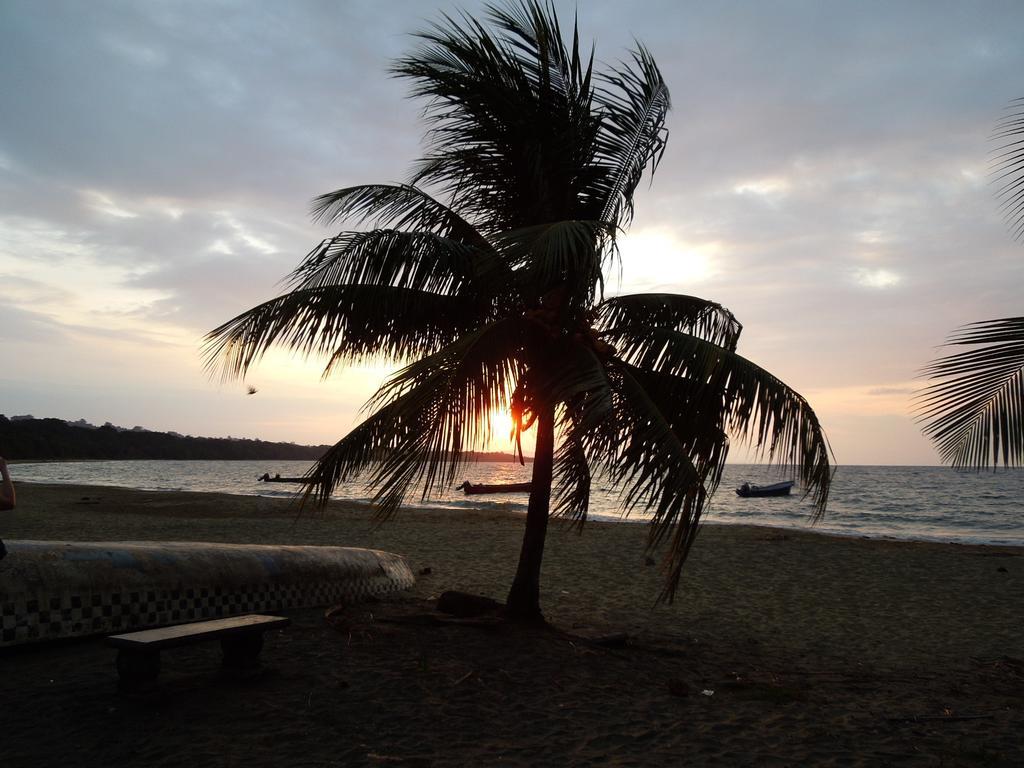 Casitas Las Flores Puerto Viejo de Talamanca Buitenkant foto