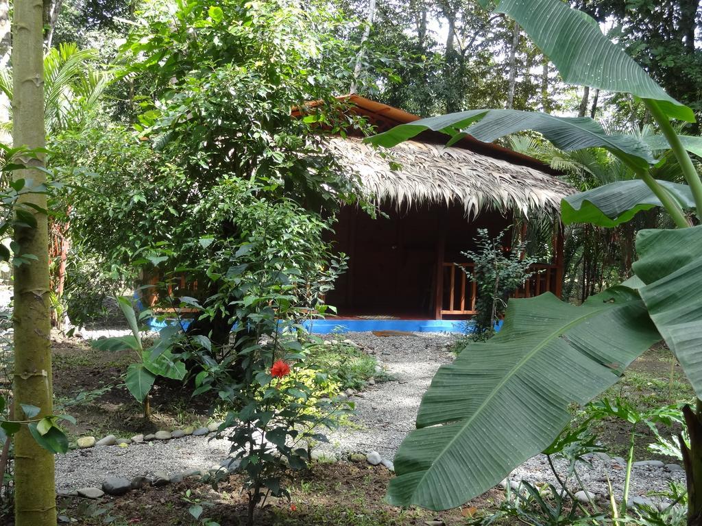 Casitas Las Flores Puerto Viejo de Talamanca Buitenkant foto